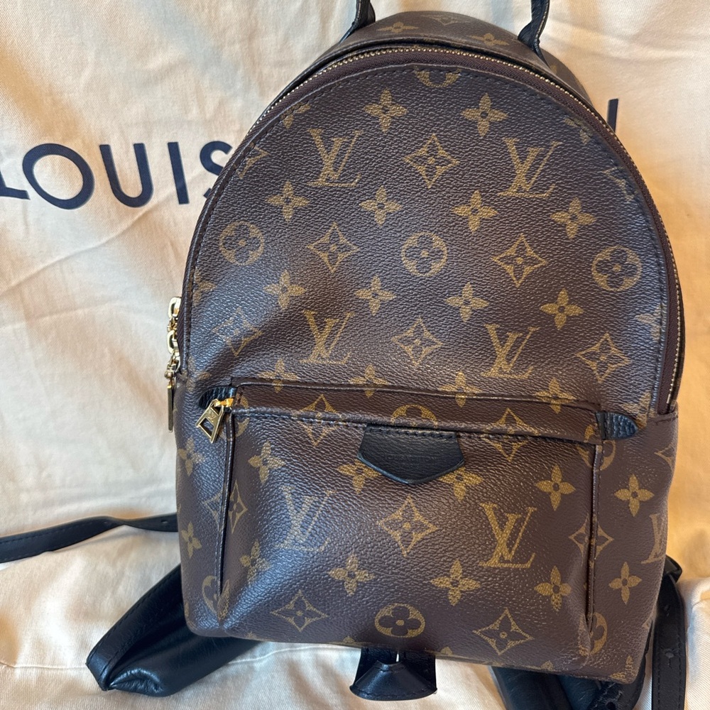 LOUIS VUITTON PALM SPRINGS NV PM MNG